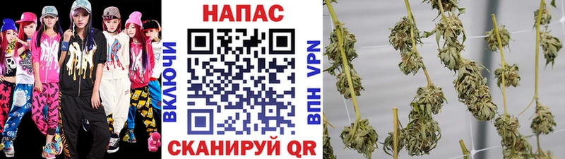 Купить наркотик аптеки Реутов Альфа ПВП  Cocaine  ГАШ  АМФЕТАМИН  Конопля  Мефедрон 