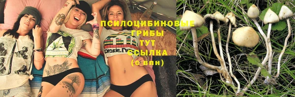 амф Беломорск