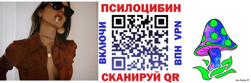 Псилоцибиновые грибы Psilocybe  сколько стоит  Реутов 