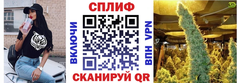 Канабис план Реутов